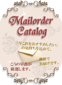 こうの早苗 こうのさなえ パッチワーク キルト パンデピス こうの早苗 こうのさなえ パッチワーク キルト パンデピス